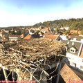 15_55-nest.jpg