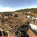 16_00-nest.jpg