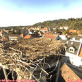 16_10-nest.jpg