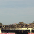 16_20-mast.jpg