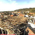 16_25-nest.jpg