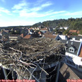 16_30-nest.jpg