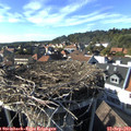 16_35-nest.jpg