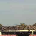 16_50-mast.jpg