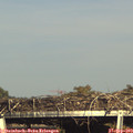 16_55-mast.jpg