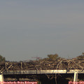 17_00-mast.jpg