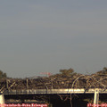 17_05-mast.jpg