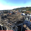 17_20-nest.jpg