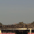 17_25-mast.jpg