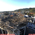 17_55-nest.jpg