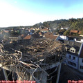 18_00-nest.jpg