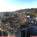 18_05-nest.jpg