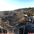 18_10-nest.jpg
