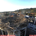 18_15-nest.jpg