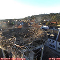 18_20-nest.jpg