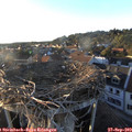 18_30-nest.jpg