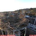 18_40-nest.jpg