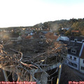 18_45-nest.jpg