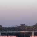 18_55-mast.jpg