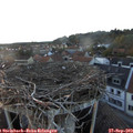 18_55-nest.jpg